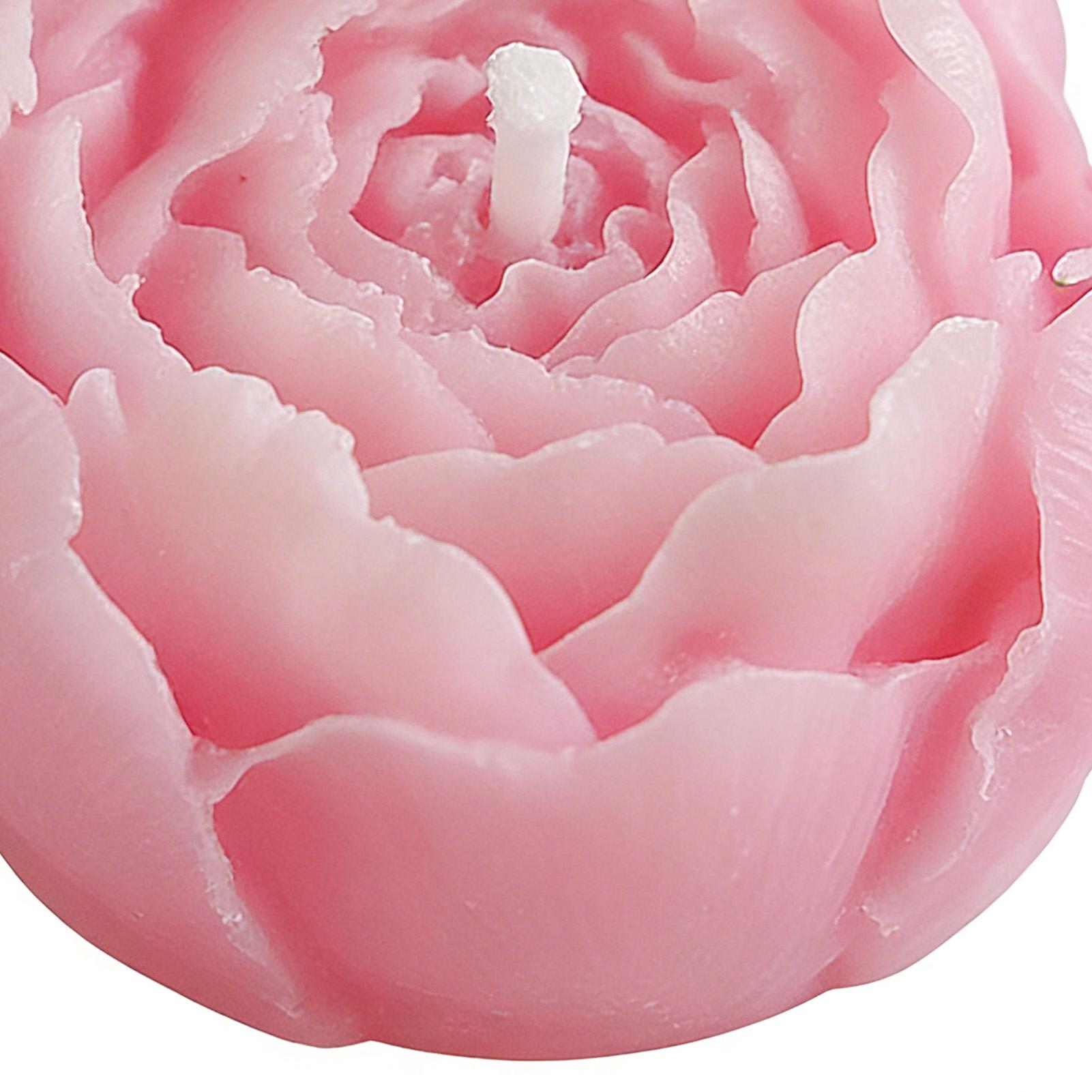เทียนไขถั่วเหลืองรูปดอกไม้สร้า - Home Decor Kit บทวิจารณ์และราคา